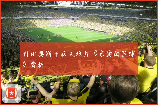 科比奥斯卡获奖短片《亲爱的篮球》赏析
