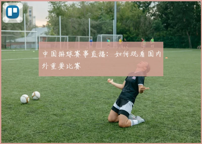 中国排球赛事直播:如何观看国内外重要比赛