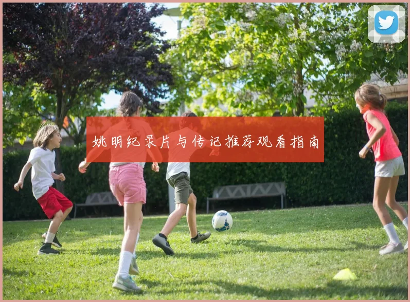 姚明纪录片与传记推荐观看指南